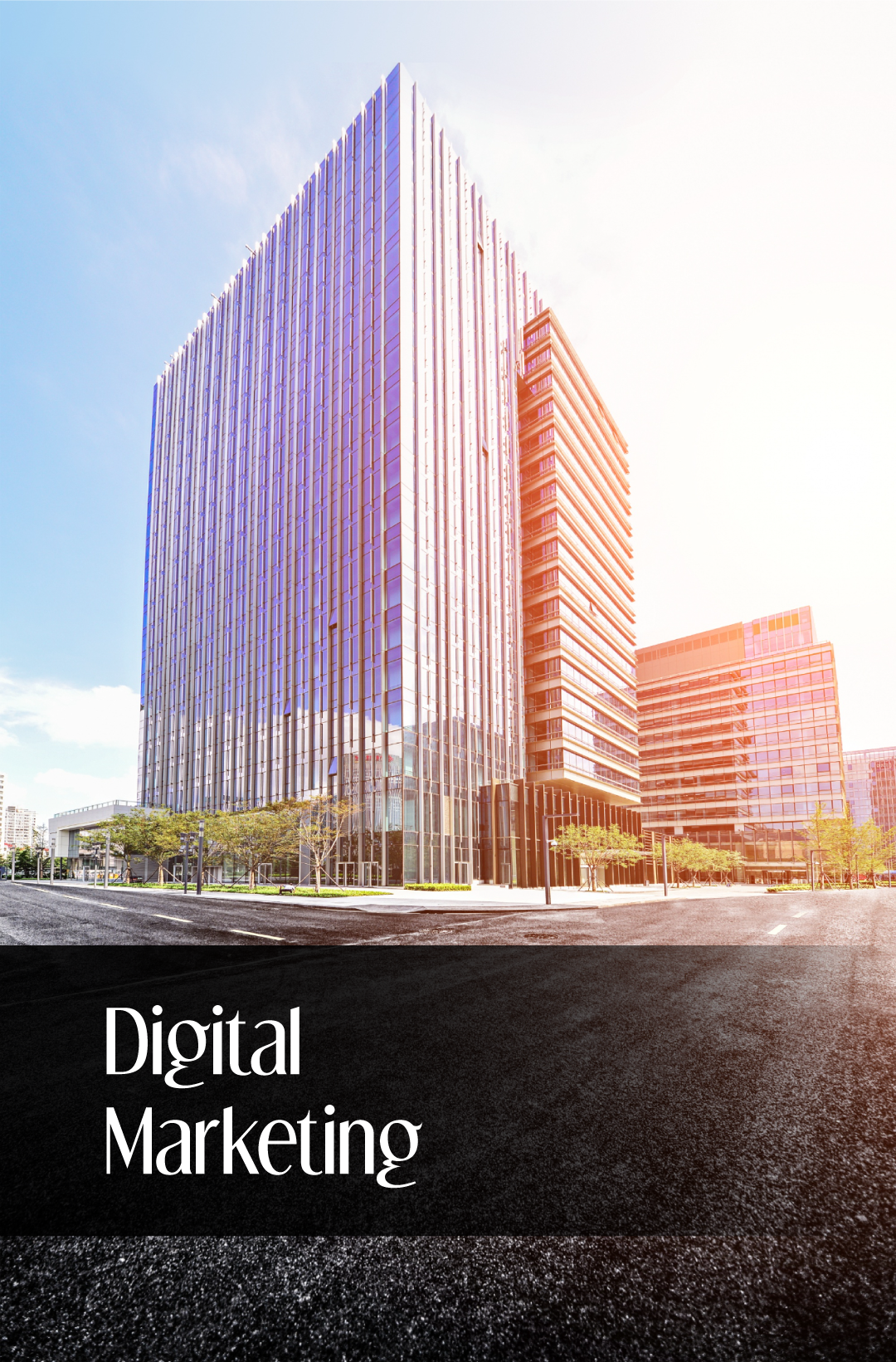 Digital Marketing vertical